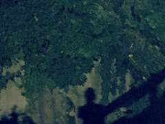 『100』 제목 없음