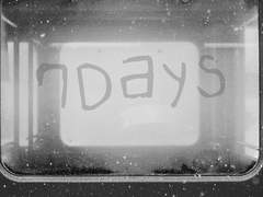 [다자아츠] 7Days 1