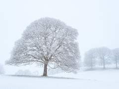 검은 우산[아드마리 관계반전]