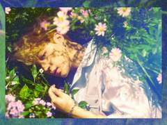 [짐진][뷔진] 당신은 지금 사랑하는 사람과 살고 있습니까? 39화