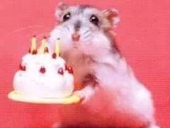 수호자들은 환장의 사랑을 해라 01