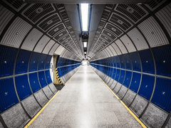 독보적인, 삶의 첫 문장