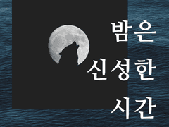 밤은 신성한 시간