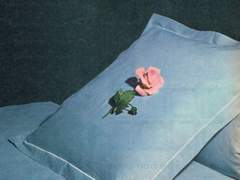 [세츠여휘] 흔한 사랑 1편