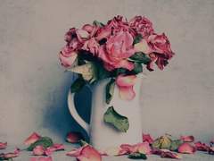 [루송] 권태기 上