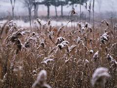 [국민] 겨울의 끝에서 上