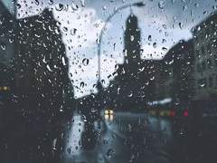 [노래가사] 남망기 (독백)