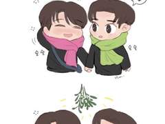 겨우살이 (Mistletoe)