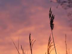 누나한테 싸가지없이구는 하준우