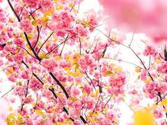 이각의 손(梨閣之客) 외전 2