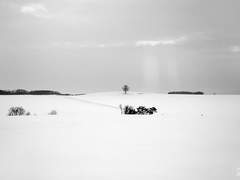 [범무사필] 끝마물 上·下