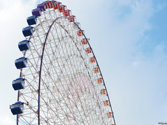 [망기무선] 첫사랑이 끝나던 때 (트위터 썰 백업)