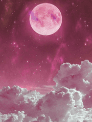 공지와 사담 그 어딘가