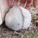 곽짜곽짜진심없는곽짜