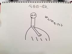 2019.12.14 월피스 사 업무 보고 리포트 (+녹화본)