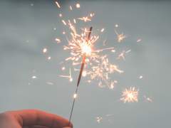 [이자여휘] 꽃점