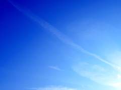 1. 우리의 심장에 명예를, 왕의 심장에 경애를