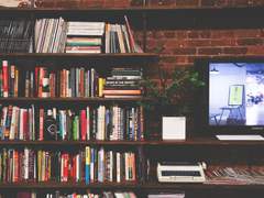 인류학적성의이해