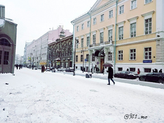 봄이 피어나는 소리