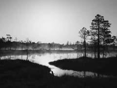 [파리어콜린스] Under one roof - 02