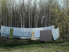 [파리어콜린스] Under one roof - 03