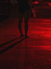 이자벨 반 하멜