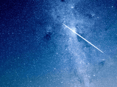 한 여름밤의 밀회