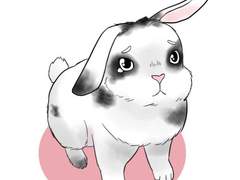 유크킬 티알인장