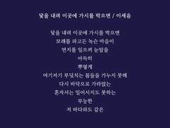 닻을 내려 이곳에 가시를 박으면