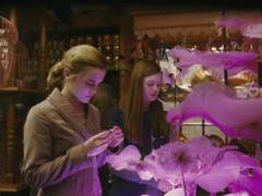 [론헤르] 아모르텐시아