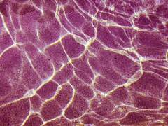 네가 안겨준 빛