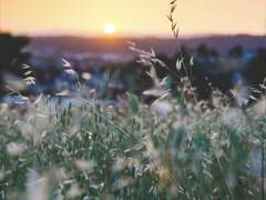 여운에 눈물을 쏟는 너를 본다