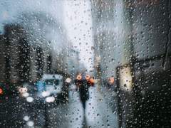 [디스 매직 모먼트] Q&A