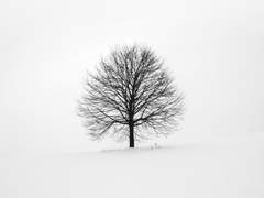 [현제유현] 환상통