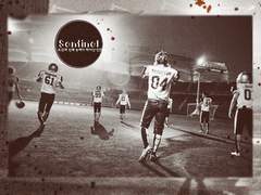 [엑소 빙의글]Sentinel;