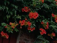 지나간 것에 대한 고찰