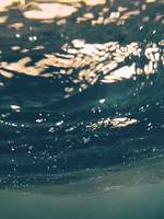 자캐 로그 모음