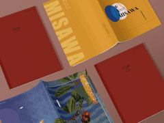 [디페 미사와 쁘띠존] 구간, 신간 Info