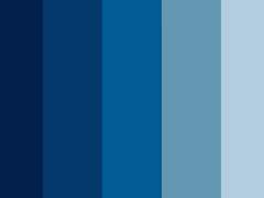 파란 머리 해적단 프로필