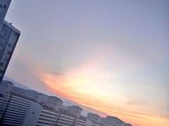 쿠소망겜 미연시 표지