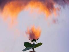 꽃이 피고 지듯이..00