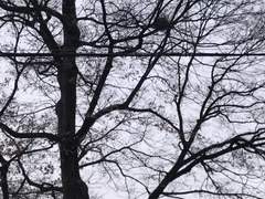 『13』 信 신 sin