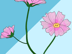 코스모스 꽃이 피었습니다