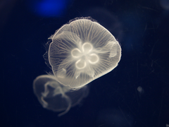 [망기무선] Trust you (트위터 썰 백업)