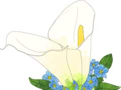 [아드마리]이별 그리고 맹세