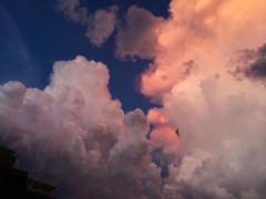 [릭셩] 백구 네버 다이 上