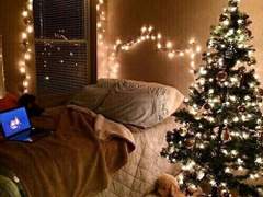 [레뷰스타] 성야에는 선물을