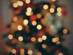 아직 빛나는 어느 겨울날의 기억