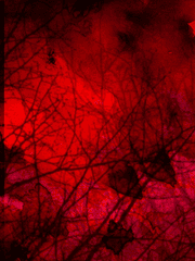 경천국제예술고등학교