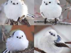 습작화한 소설 업데이트 예정